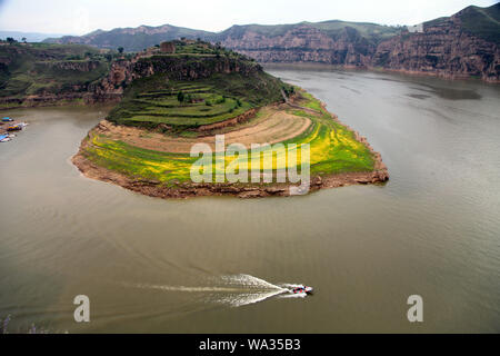 La vecchia mucca bay Foto Stock
