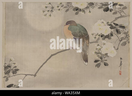 Uccello appollaiato su un ramo di un albero di fioritura Foto Stock