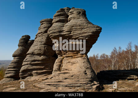 Egli ha la figura la foresta di pietra paesaggio Foto Stock