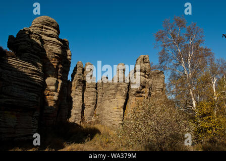 Egli ha la figura la foresta di pietra paesaggio Foto Stock