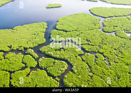 Mangrovie con fiumi nelle Filippine. Paesaggio tropicale con le mangrovie e le isole. Costa dell'isola di Siargao. Foto Stock