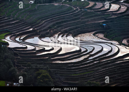 Le terrazze di riso a bada sito in Yuanyang county, Cina. Bada alle terrazze di riso di coprire un'area di 950 ettari con oltre 3700 livelli Foto Stock
