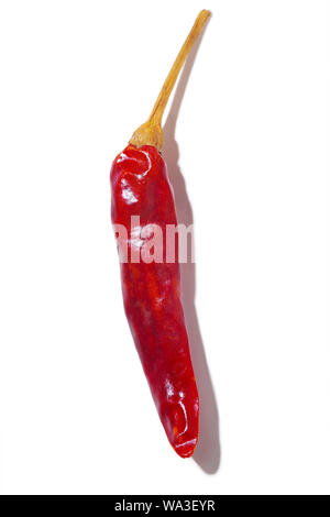 Peperoncino essiccato Foto Stock