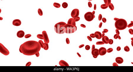 Hemorheology o Haemorheology e viscosità del sangue Foto Stock