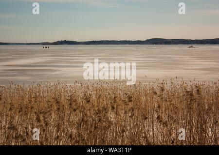 Ampio colpo di campo di grano vicino a una spiaggia sabbiosa con montagna in lontananza sotto un cielo limpido Foto Stock