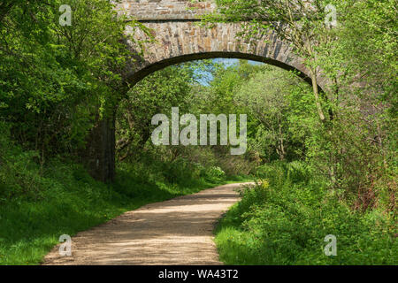 Ampio percorso chiaro che conduce attraverso e sotto l'arcata in pietra di un vecchio ponte ferroviario nel bosco a Waskerley modo una distanza lunga pista ciclabile. Foto Stock