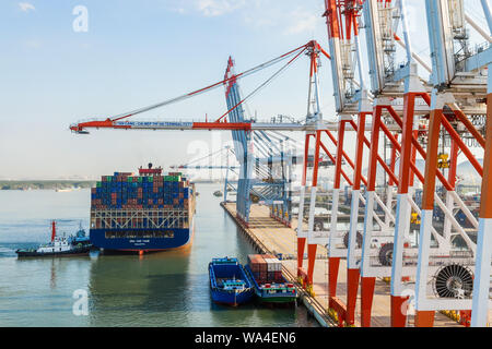 PHY la mia porta, SUD VIETNAM - 14 gennaio 2019: un container a docking International Terminal per container Tan Cang - Cai Mep. Foto Stock