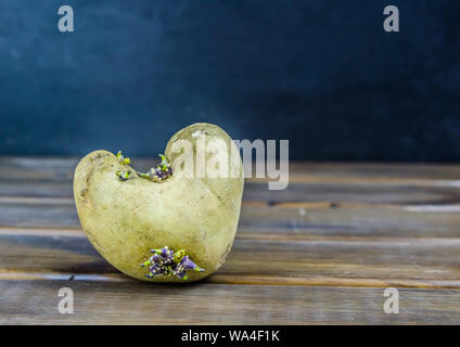 È germogliato di patate nella forma di un cuore su di un legno marrone con sfondo spazio copia Foto Stock