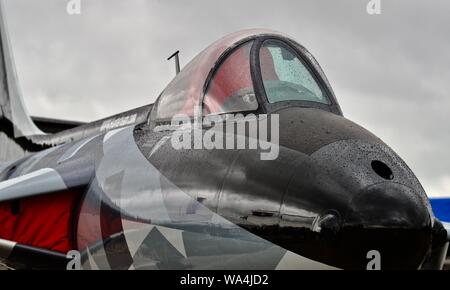 Hawker Hunter Mk58 "ZZ191" sul display statico al 2019 Royal International Air Tattoo Foto Stock