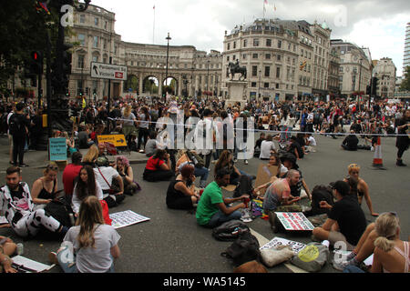 London, Regno Unito - 17 August 2019: migliaia di diritti degli animali manifestanti hanno preso ot la strada di Londra in un marzo da Park Lane a Whitehall, portando alla chiusura di strada intorno Traflagar Square il 17 agosto 2017. Il marzo fondata dal Regno Unito i diritti degli animali organizzazione Surge ha iniziato a Londra nel 2016 con 2.500 partecipanti e dal 2018 aveva raccolto una partecipazione globale di 28.000 vegani marciando in 25 città in tutto il mondo, chiedendo la fine di tutte le oppressioni degli animali. Credito: David Mbiyu/Alamy Live News Foto Stock