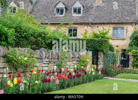 Antirrhinum. Snap dragon fiori lungo un muro di casa in Broadway, Cotswolds, Worcestershire, Inghilterra Foto Stock