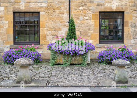 La Petunia Surfinia 'Sky Blue' fiori in piantatrici al di fuori di un cottage in Broadway, Cotswolds, Worcestershire, Inghilterra Foto Stock
