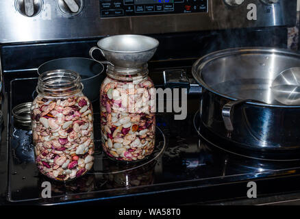 Homegrown fagioli e piselli, pronto al can. Fresche biologiche i fagioli secchi quali burro fagiolo, pisello di burro, viola scafo pisello, fagiolo di Lima, punteggiato meridionale. Foto Stock