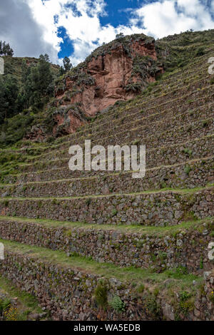 Inka rovine con Andens, piattaforme, un gradino-passo come terrazza agricoli dugs nel pendio di una collina in Pisac parco archeologico, Perù Foto Stock