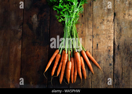 Carote organico con verde carrotr tops su una tavola in legno rustico top, cresciuto in casa, impianti in base al di sopra della vista, formato orizzontale con spazio di copia Foto Stock