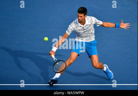 Agosto 17, 2019: Novak Djokovic (SRB) perde per Daniil Medvedev (RUS) 3-6, 6-3, all'occidentale e meridionale essendo aperto ha giocato al Lindner Family Tennis Center di Mason, Ohio. © Leslie Billman/Tennisclix/CSM Foto Stock