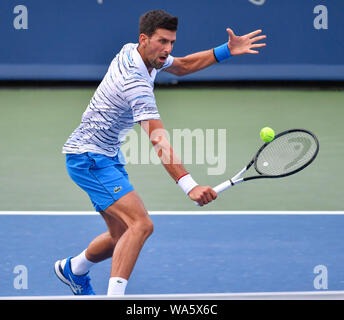 Agosto 17, 2019: Novak Djokovic (SRB) perde per Daniil Medvedev (RUS) 3-6, 6-3, all'occidentale e meridionale essendo aperto ha giocato al Lindner Family Tennis Center di Mason, Ohio. © Leslie Billman/Tennisclix/CSM Foto Stock