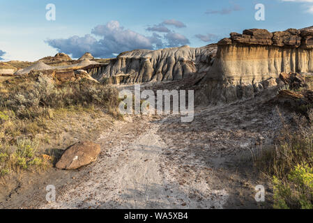 Parco provinciale dei dinosauri in Red Deer Valley in Alberta, Canada Foto Stock