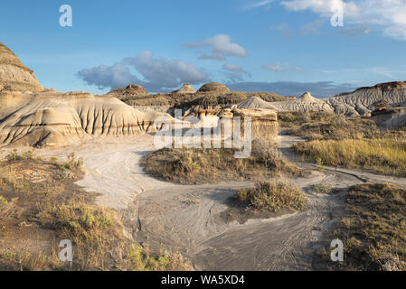 Parco provinciale dei dinosauri in Red Deer Valley in Alberta, Canada Foto Stock