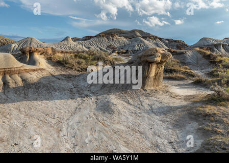 Parco provinciale dei dinosauri in Red Deer Valley in Alberta, Canada Foto Stock