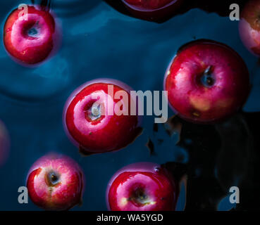 Red succose mele in acqua in un secchio. Trend retrò scuro dello sfondo. Concetto, ricco raccolto. Vista superiore Foto Stock