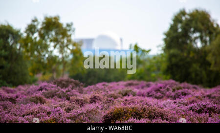 Sizewell centrale nucleare a distanza Foto Stock