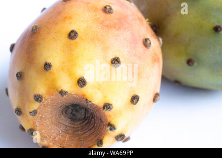 Orange opuntia isolati su sfondo bianco. Percorso di clipping. Massima profondità di campo. Foto Stock