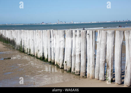 Küstenschutz durch hölzerne Buhnen am Sandstrand, im Hintergrund Vlissingen, Breskens, Zeeland, Niederlande Foto Stock