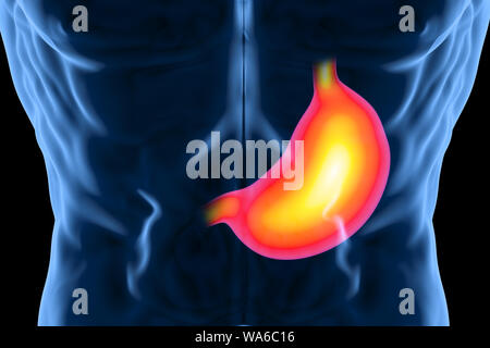3D rendering stomaco dolore all'interno del corpo umano Foto Stock