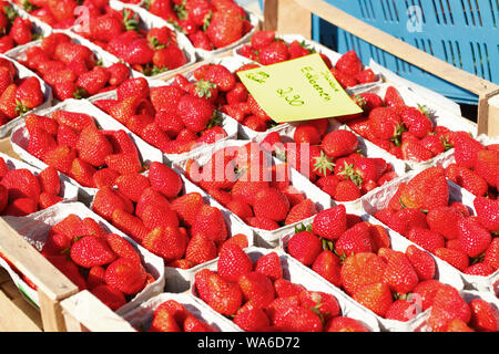 Fragole fresche (Fragaria) con prezzo di etichetta in tazze su un mercato in stallo, Brema, Germania Foto Stock