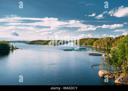 La pesca, allevamento ittico In Estate Lago o fiume in estate bella giornata di sole. La natura svedese, Svezia. Foto Stock