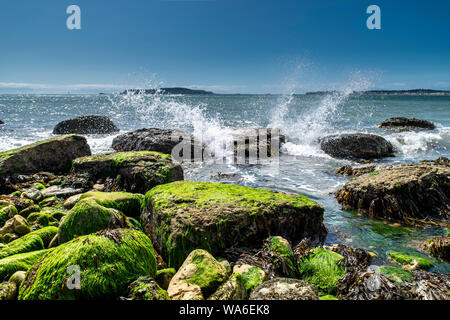 Onde che si infrangono sulle rocce al Blowleaze Cove, Weymouth Foto Stock