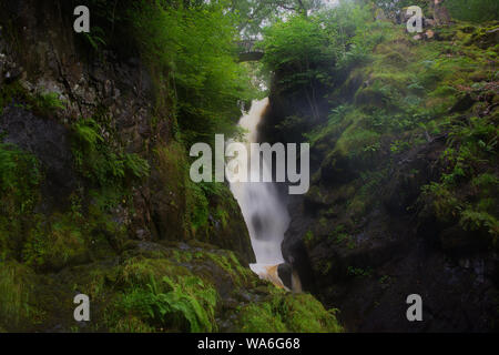 Aira Force e dintorni dei laghi Foto Stock