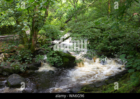 Aira Force e dintorni dei laghi Foto Stock