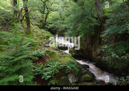 Aira Force e dintorni dei laghi Foto Stock