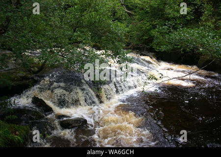 Aira Force e dintorni dei laghi Foto Stock
