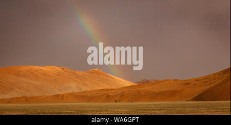 Rainbow brilla su di una duna di sabbia nel deserto in Namibia Foto Stock