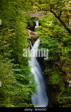 Aira Force cascata, Lake District Foto Stock