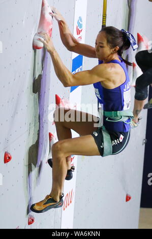 Akiyo Noguchi (JPN), Agosto 17, 2019 - Sport Arrampicata : IFSC Climbing World Championships 2019 Hachiōji donne velocità della qualifica a Esforta Arena a Tokyo in Giappone. (Foto di Sho Tamura/AFLO SPORT) Foto Stock