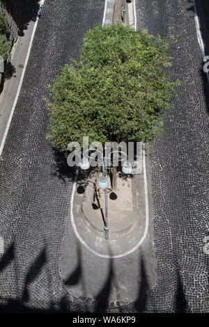 Vista aerea degli alberi nel mezzo della Via Luigi de Maio. Un tornante che porta a Marina piccola, Sorrento, Italia Foto Stock