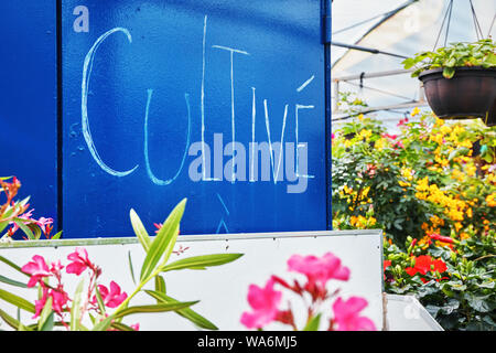 La parola coltivare scritto in francese in un mercato dei fiori greeenhouse Foto Stock