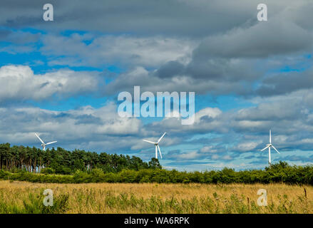 FINDHORN FOUNDATION MORAY Scozia tre turbine eoliche con cielo blu e nuvole bianche in estate Foto Stock