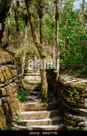 Scala su un percorso ecologico attraverso un passaggio naturale nella roccia che sembra rovine antiche Foto Stock