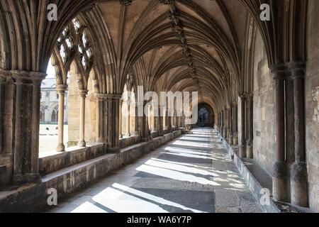L'interno e la sede del vescovo di Norwich Cathedral Foto Stock