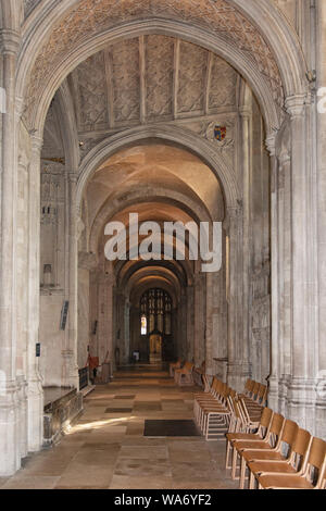 L'interno e la sede del vescovo di Norwich Cathedral Foto Stock