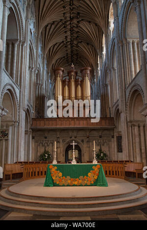 L'interno e la sede del vescovo di Norwich Cathedral Foto Stock