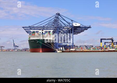 Felixstowe, Suffolk, Regno Unito - 18 August 2019: il sempreverde mai governare contenitore nave ormeggiata nel porto di Felixstowe. Foto Stock