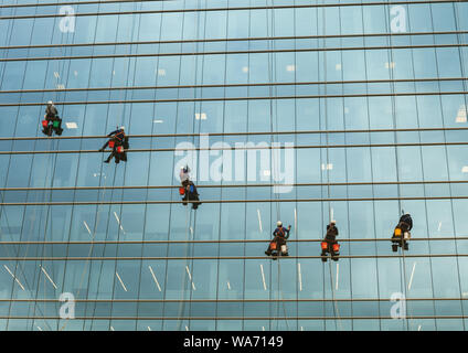 Gruppo di lavoratori di pulizia il servizio di Windows su un alto edificio. finestra rondelle scalatori industriali Foto Stock