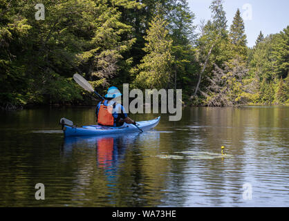 WPMorning kayak pagaia su un tranquillo torrente a Muskoka Foto Stock