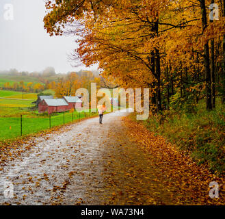 Una persona che cammina per la strada con un ombrello per la pioggia moderata sotto i colori autunnali nel Vermont Foto Stock